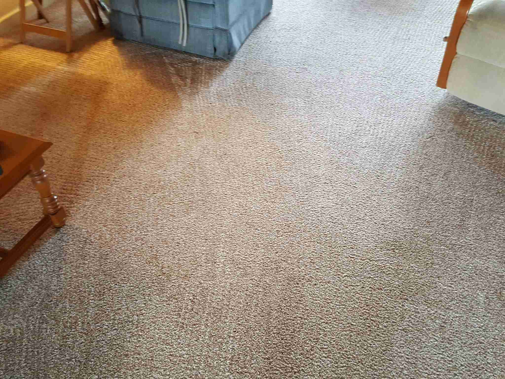 Carpet after Spiker cleaning