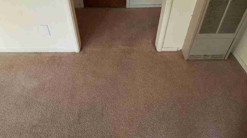 Carpet after Spiker cleaning
