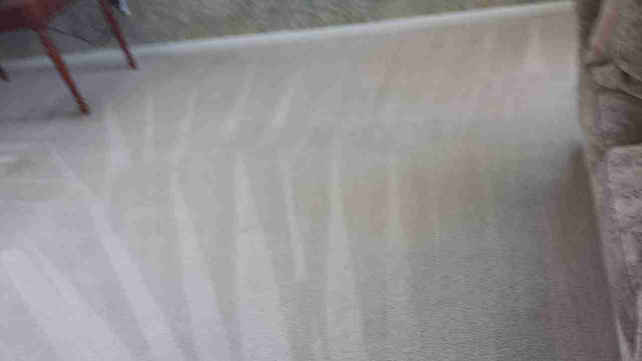 Carpet after Spiker cleaning