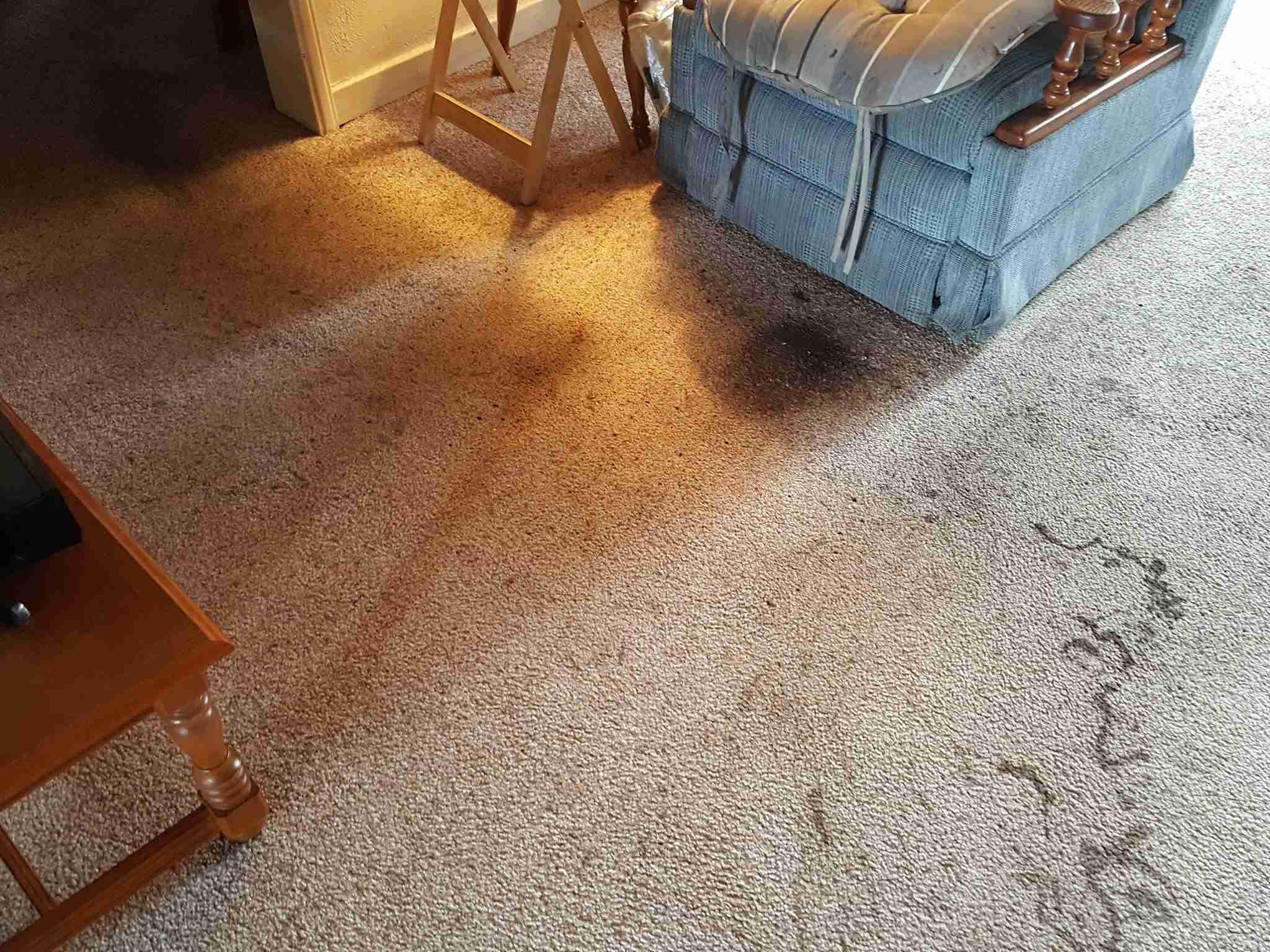 Carpet before Spiker cleaning